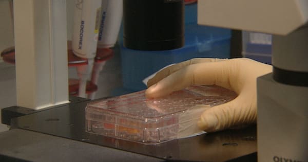 'I'd probably be dead': Woman warns of gene testing insurance fears