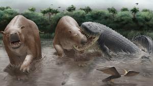 Giant crocodylians dominated the food chain in Miocene South America