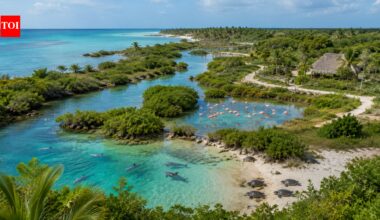 A Mexican couple bought a failed coconut farm 30 years ago; the 346-acre wasteland is now a wildlife haven for turtles, dolphins and flamingos | World News