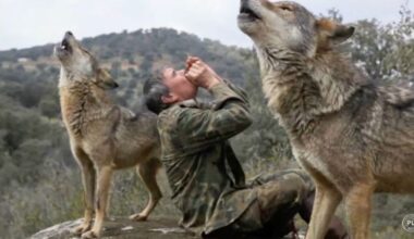 Marcos Rodríguez Pantoja, Spain’s “wolf boy of Sierra Morena,” dies aged 80