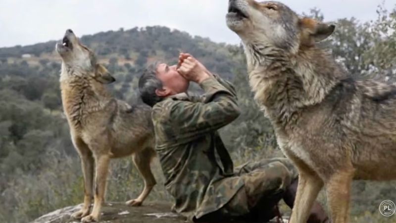 Marcos Rodríguez Pantoja, Spain’s “wolf boy of Sierra Morena,” dies aged 80