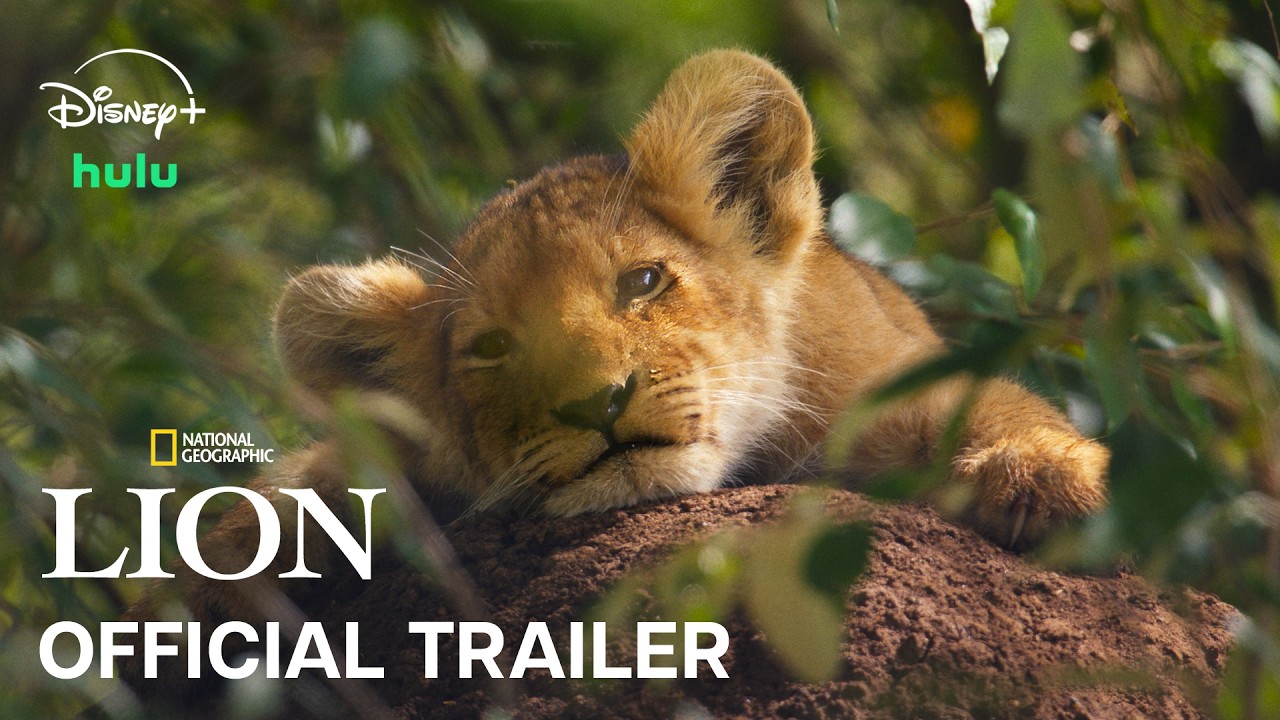 LION | Official Trailer | National Geographic - YouTube
