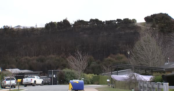 'Pretty scary': Wānaka residents describe moment large blaze broke out