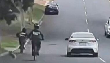 Koala run over by e-bike in Brisbane