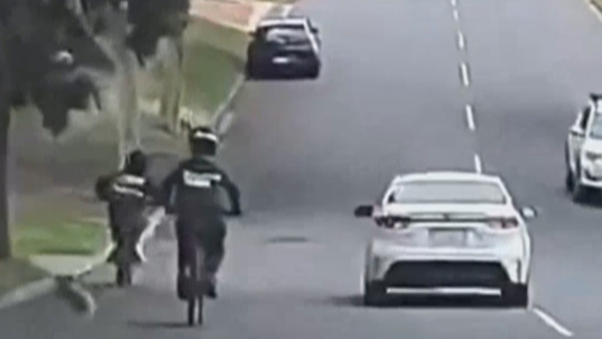 Koala run over by e-bike in Brisbane