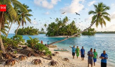 After years of invasive rats threatening island wildlife, Tuvalu removed them from six islets; residents are now seeing birds and coconut crabs return﻿ |