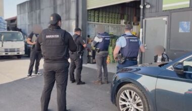 'One of the largest': Vietnamese cannabis syndicate shut down