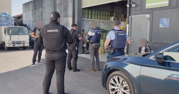'One of the largest': Vietnamese cannabis syndicate shut down