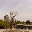 © Rodolfo Lopez Castillo Abejas Sports and Recreation Center / border arquitectos - Image 5 of 19