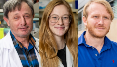 Newswise: Oral Therapy Shows Potential to Protect Healthy Tissue From Radiation