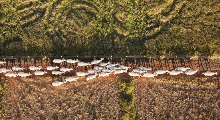 Land models sprout as degradation threatens billions of livelihoods