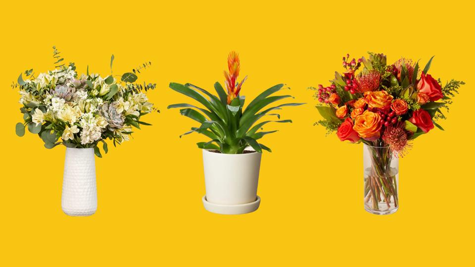 Graphic The Best Flower Delivery Services Of 2026 That Deliver Fast, Fresh Blooms