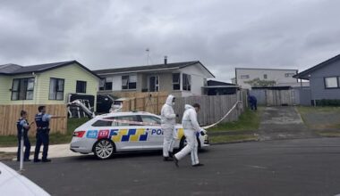 South Auckland double homicide victims were shot, police say