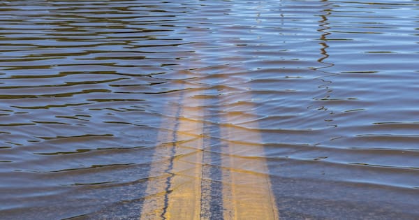 Flood alert system activated in north Auckland as downpours persist