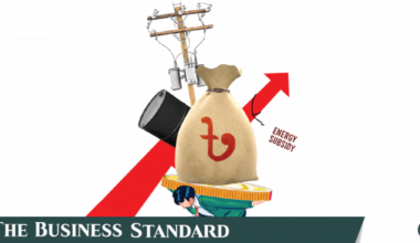 Govt to watch global energy prices for 3 months before price revision