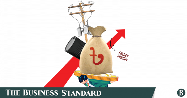 Govt to watch global energy prices for 3 months before price revision