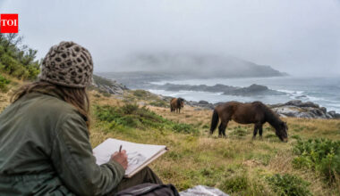 In 1971, a Canadian art student visited a fogbound island to draw wild horses; she stayed nearly 50 years studying its wildlife, and Sable became a national park reserve | World News