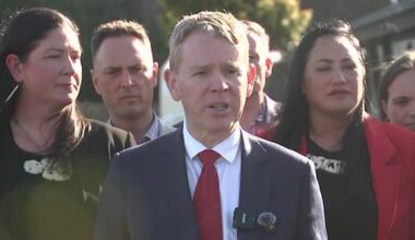 Labour pledges $21m for Māori-led trades training