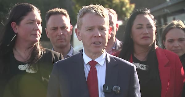 Labour pledges $21m for Māori-led trades training
