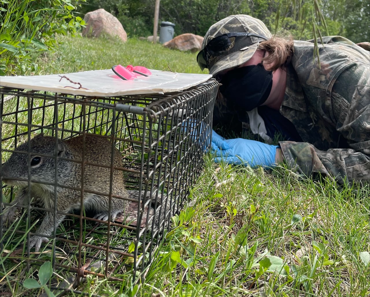 A person with a squirrel in a cage.