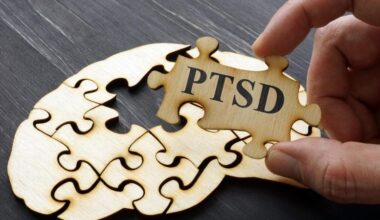 PTSD Brain Puzzle