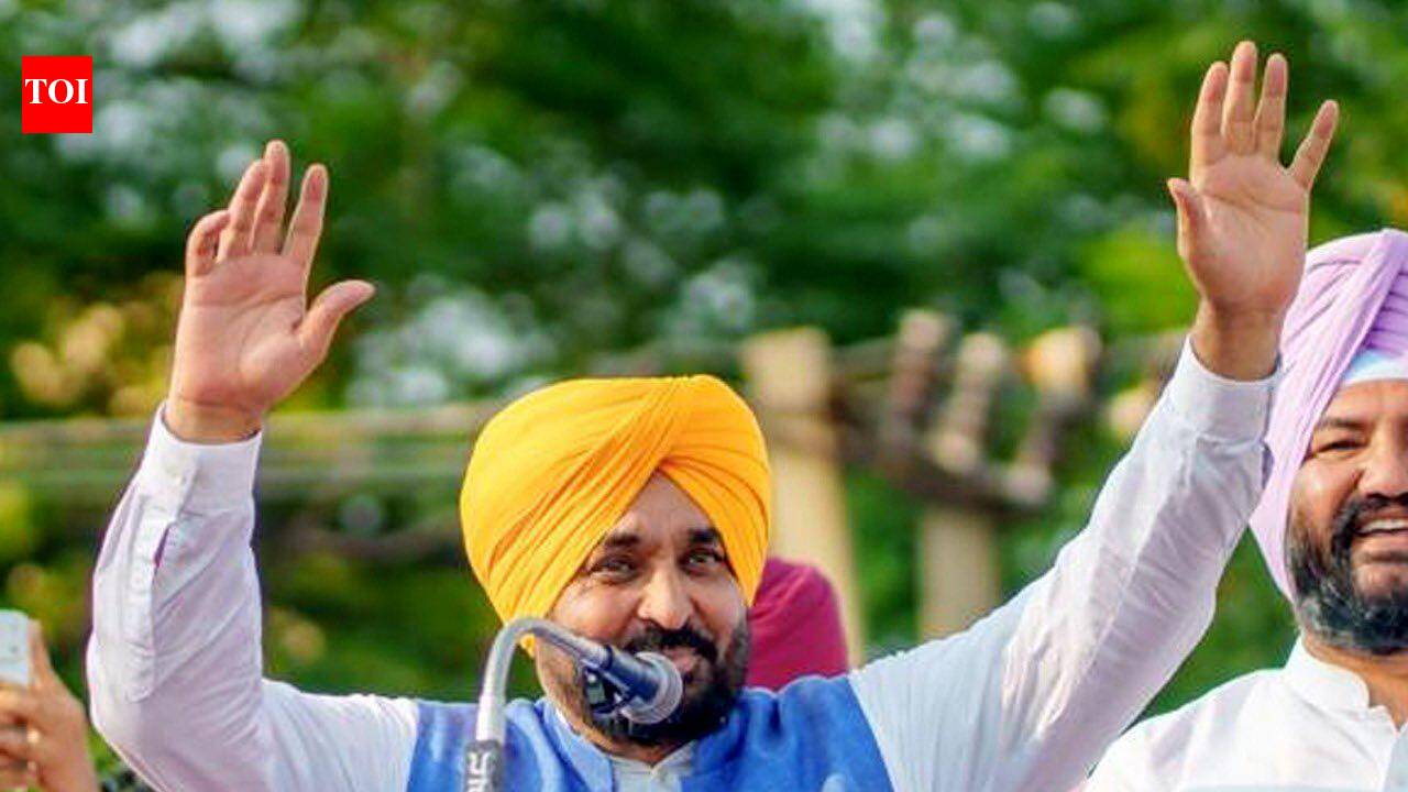 Now airing: ‘Satauj to Sansad’, documentary on Bhagwant Mann’s life | Chandigarh News