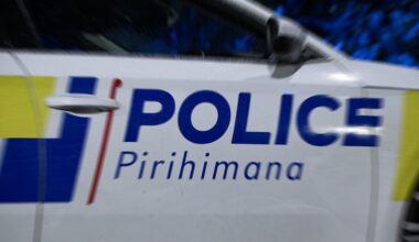 Auckland Western Line suspended after emergency services incident in New Lynn