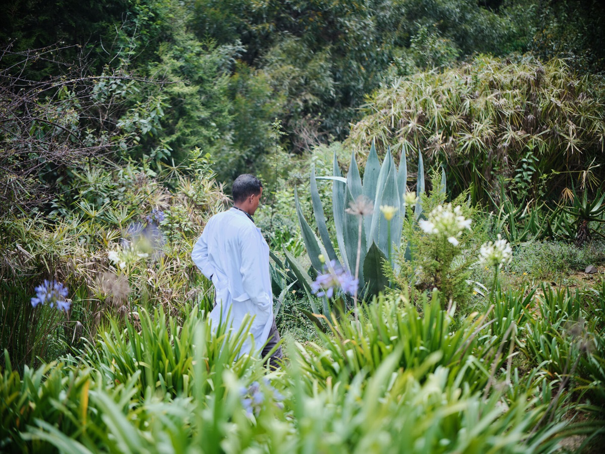 African Traditional Medicine Day 2026: from research to reach, advancing health for all