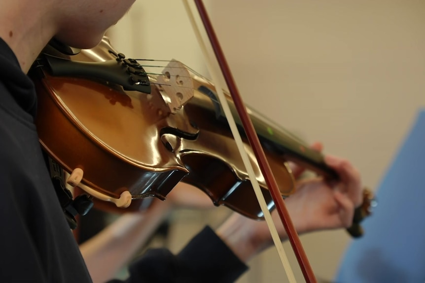 Violin