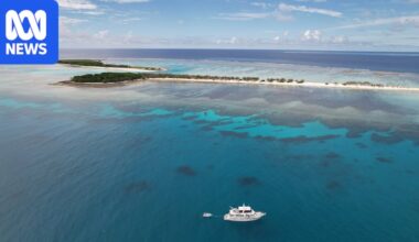 Former WWII test site at Great Barrier Reef's Fairfax Islands returns to health