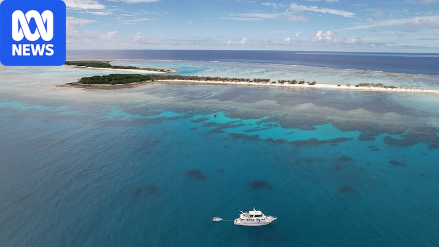 Former WWII test site at Great Barrier Reef's Fairfax Islands returns to health