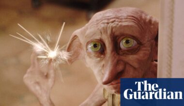 Harry Potter fans force relocation of £430m undersea cable to avoid Dobby’s ‘grave’ | Harry Potter