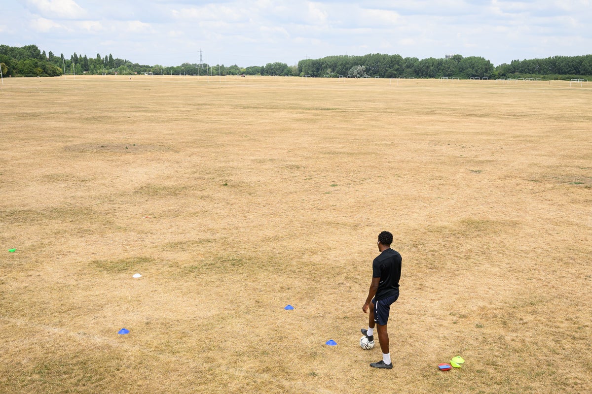 I’m a disaster responder – Britain’s constant heatwaves have left it broken, bone-dry and in denial