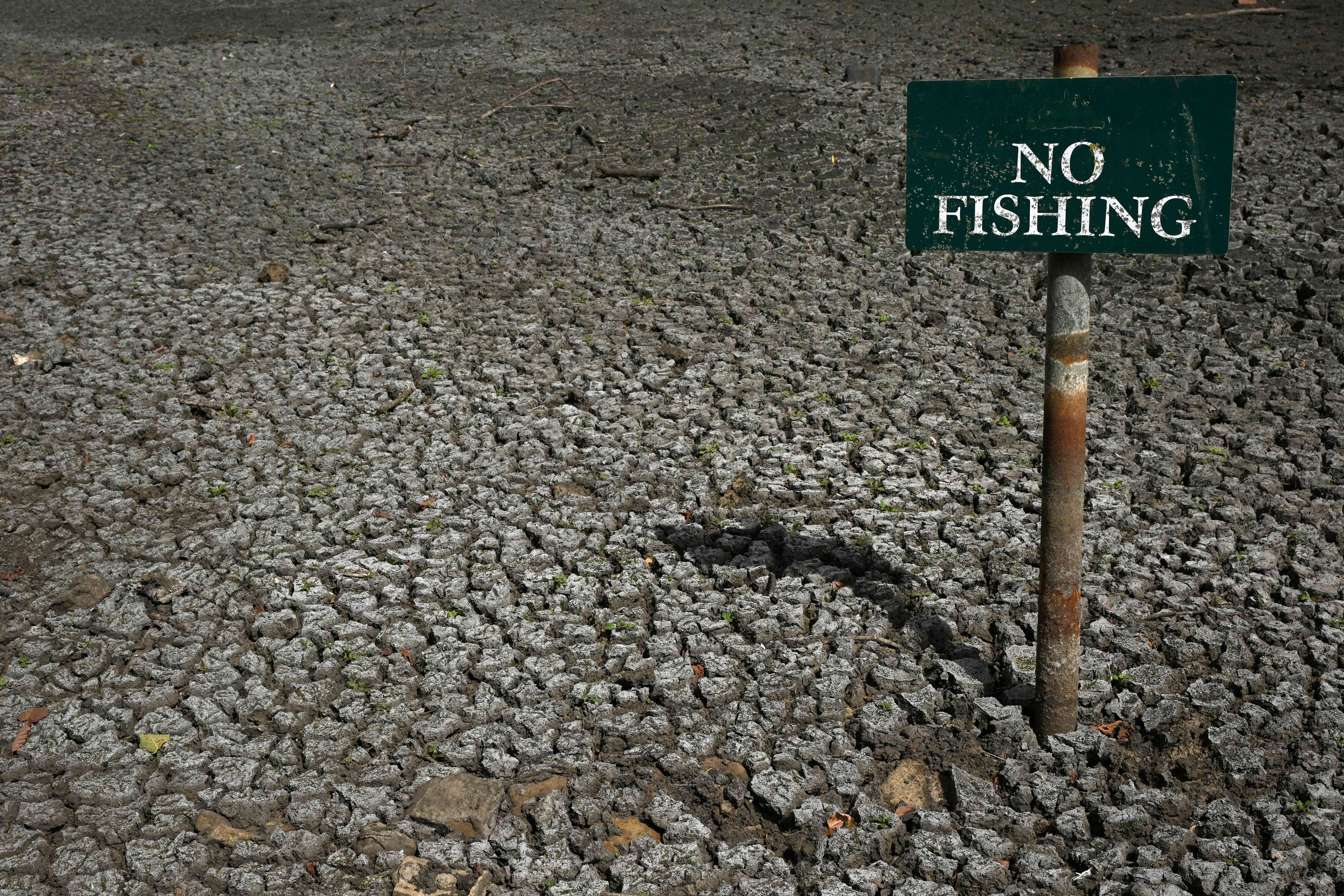 A ‘No Fishing’ sign is pictured in the dried-up Falmer Pond in Falmer, East Sussex