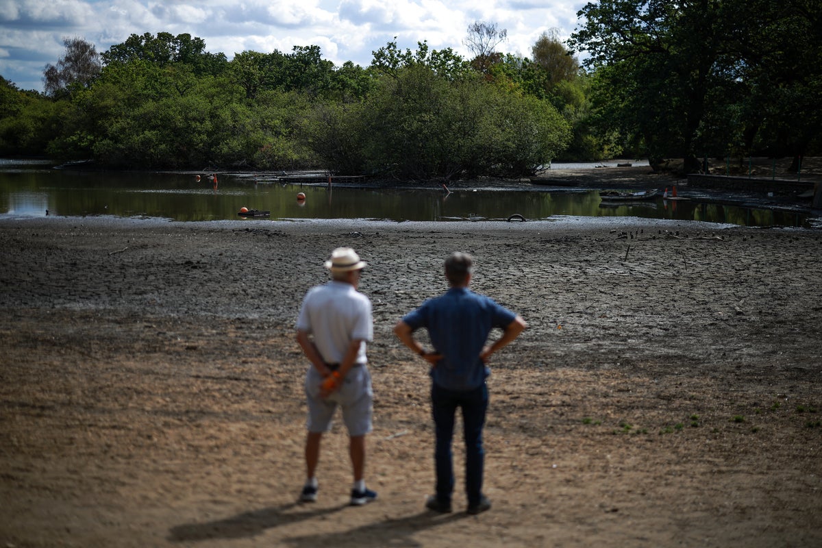 We’ve hit 38C with millions in a drought – and Brits are still in complete denial