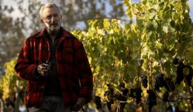 Sir Sam Neill’s Two Paddocks sales surge after death