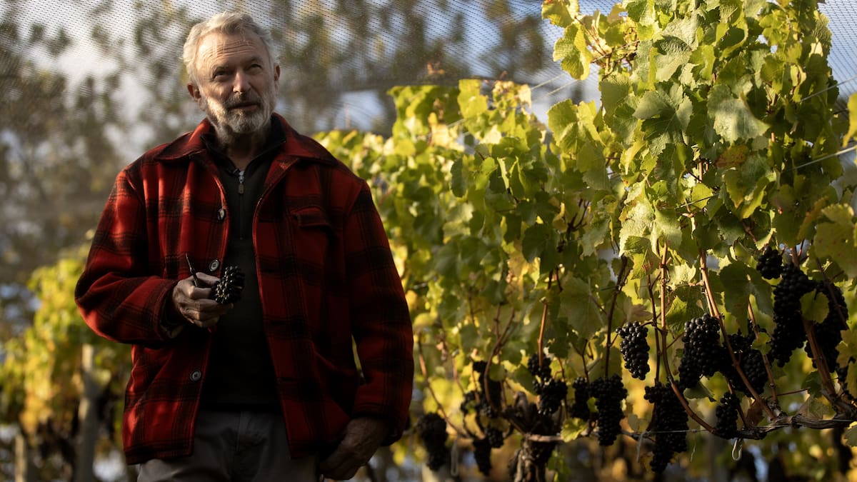 Sir Sam Neill’s Two Paddocks sales surge after death