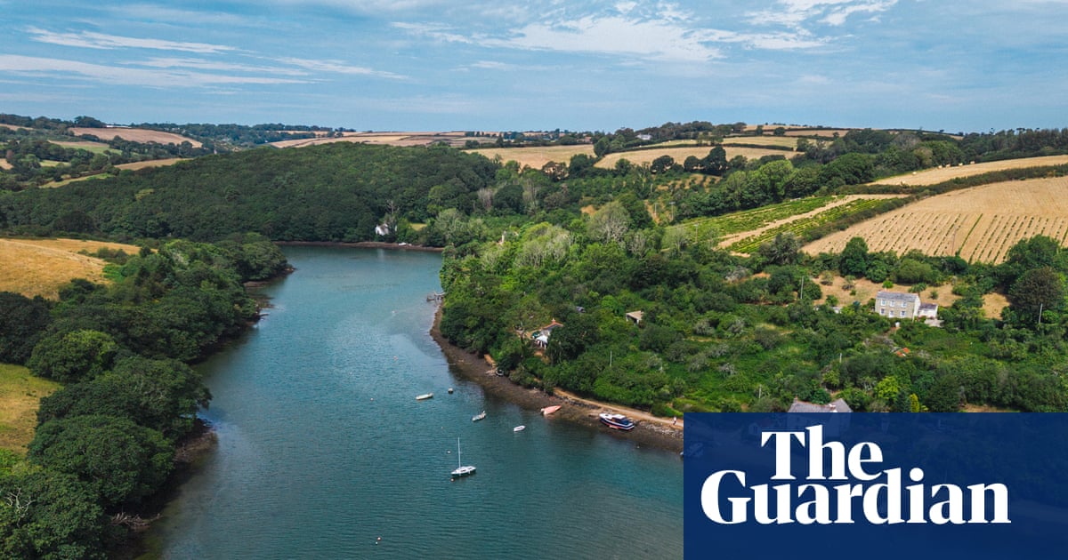‘Small changes can make a big difference’: how getting farmers, fishers and beavers together could save a Cornish river | Oceans