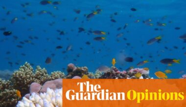 The Great Barrier Reef isn’t dead yet. According to News Corp that makes climate science a ‘pseudo-religion’ | Graham Readfearn