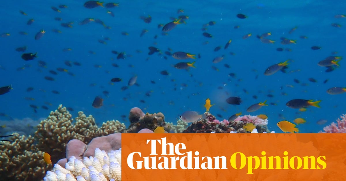 The Great Barrier Reef isn’t dead yet. According to News Corp that makes climate science a ‘pseudo-religion’ | Graham Readfearn