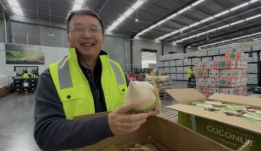 How this Peter Pan became New Zealand’s bok choy king