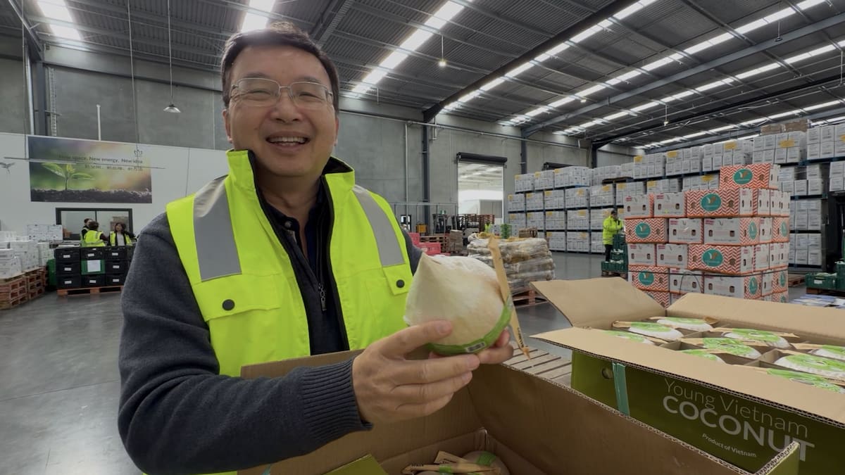 How this Peter Pan became New Zealand’s bok choy king