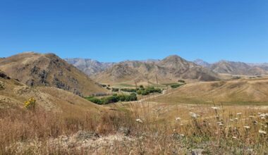 Ngāi Tahu Farming chosen to operate New Zealand’s largest farm, Molesworth Station
