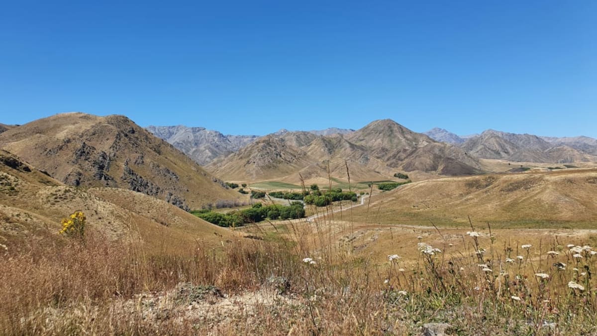 Ngāi Tahu Farming chosen to operate New Zealand’s largest farm, Molesworth Station
