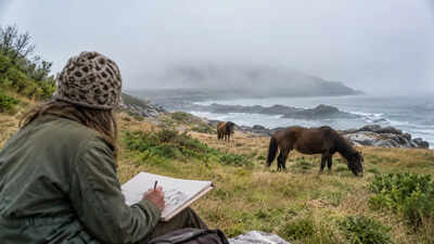 In 1971, a Canadian art student visited a fogbound island to draw wild horses; she stayed nearly 50 years studying its wildlife, and Sable became a national park reserve
