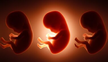 It's Not Just Mom's Diet: Father's Junk Food Habit May Shape His Unborn Baby : ScienceAlert