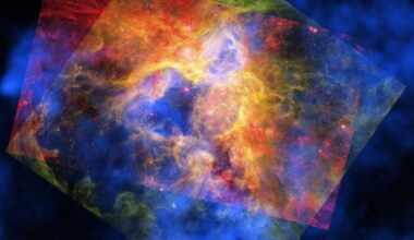 The new composite image of the Tarantula Nebula (30 Doradus), layering X-ray data from Chandra (blue), infrared from Webb (red), and optical data from Hubble (green) — the combination that let astronomers trace where the nebula's missing energy has been escaping to (Credit : X-ray: NASA/CXC/Ohio State Univ./J. Rodriguez et al; Infrared: NASA/ESA/CSA/STScI; Optical: NASA/ESA/STScI; Image Processing: NASA/CXC/SAO/P. Edmonds)