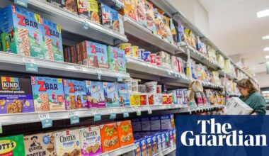 Most Americans view rising living costs as biggest barrier to a better life, survey finds | US economy
