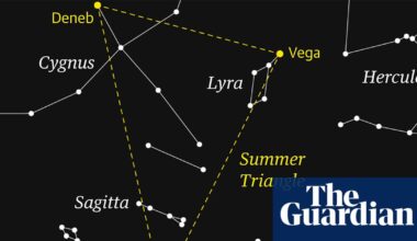 Starwatch: Sagitta’s arrow shape makes it easy to see against a dark sky | Astronomy