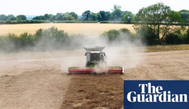 Tougher crops and beaver dams: how UK farmers are tackling drought | Farming